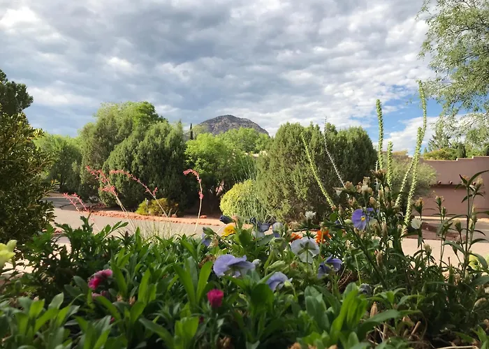 Mountain View 1 Bedroom Apartment, Unit B, Private Entrance Apartment *